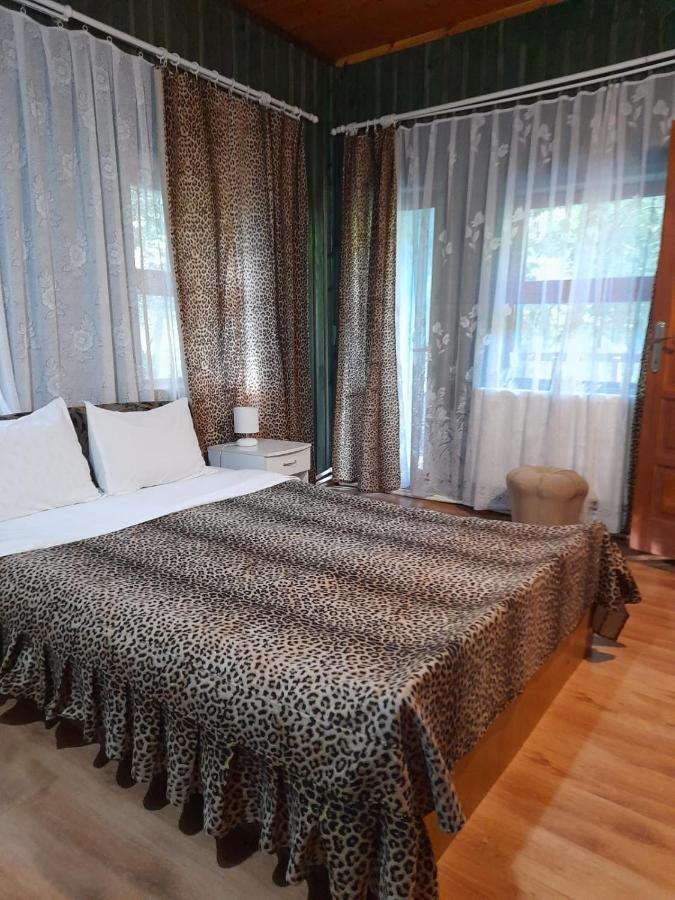 Barlogul Ursilor Lepsa Hotel ภายนอก รูปภาพ