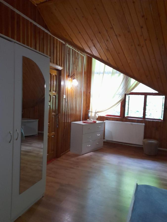 Barlogul Ursilor Lepsa Hotel ภายนอก รูปภาพ