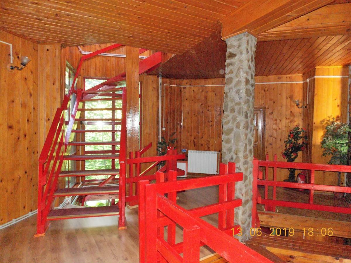 Barlogul Ursilor Lepsa Hotel ภายนอก รูปภาพ